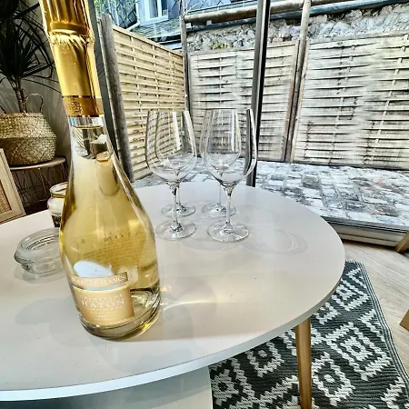 Appartement Piscine, Sauna&balnéo Au Cœur De Rouen