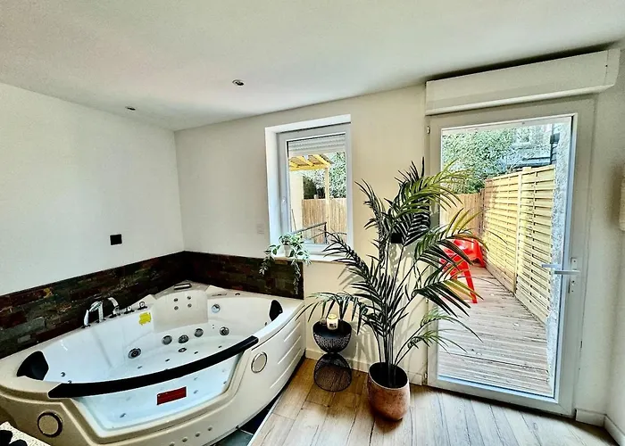 Appartement Piscine, Sauna&balnéo Au Cœur De